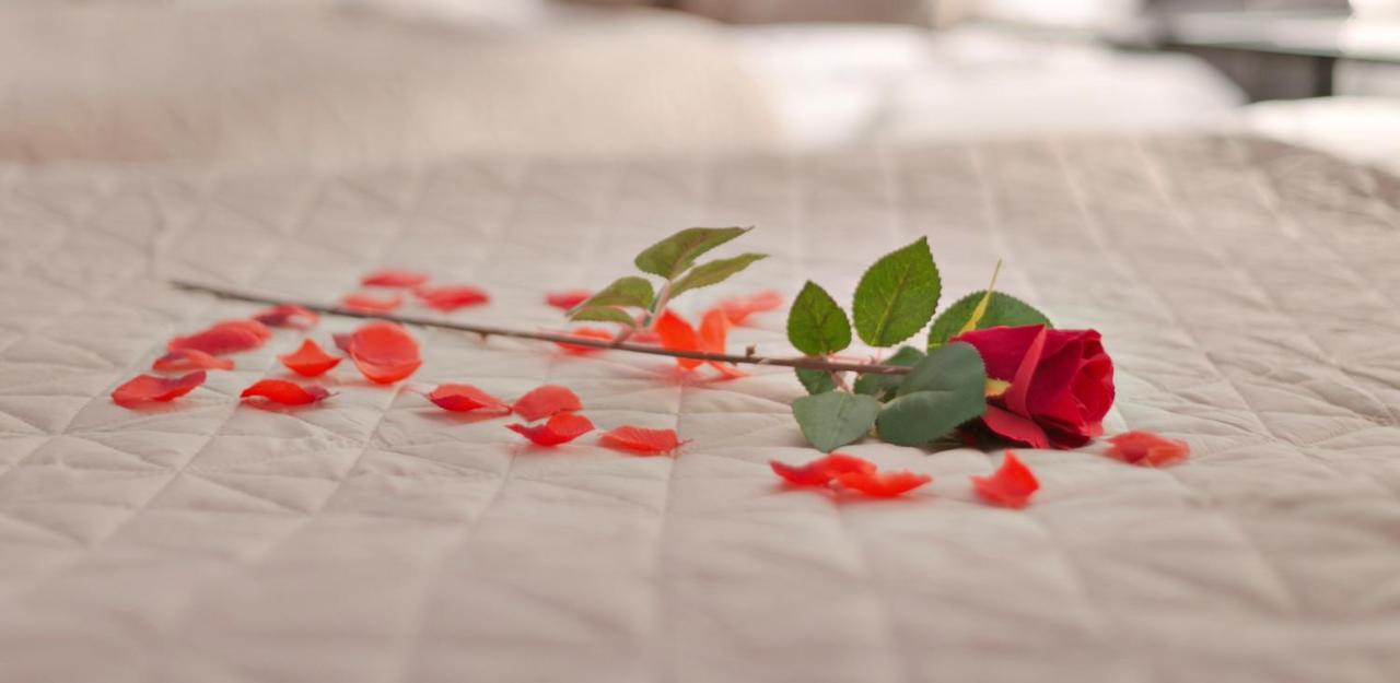 Deluxe Double Room with Bath,1300754104:JPEG